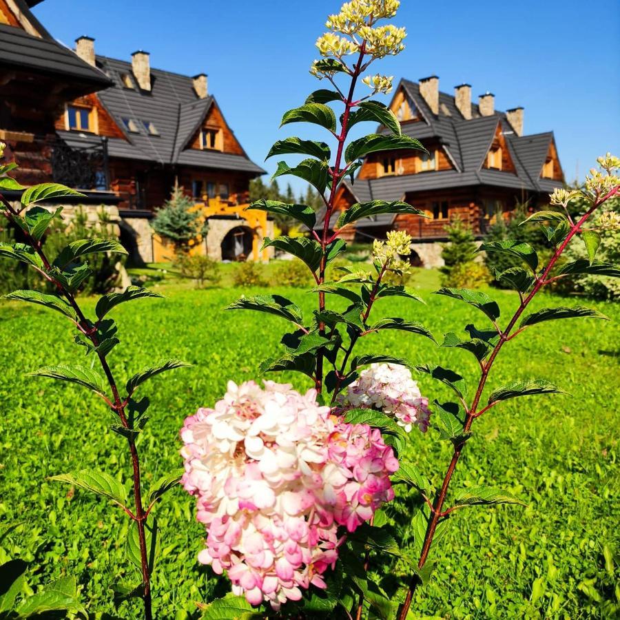 Krokus Park Residence Косцелиско Экстерьер фото